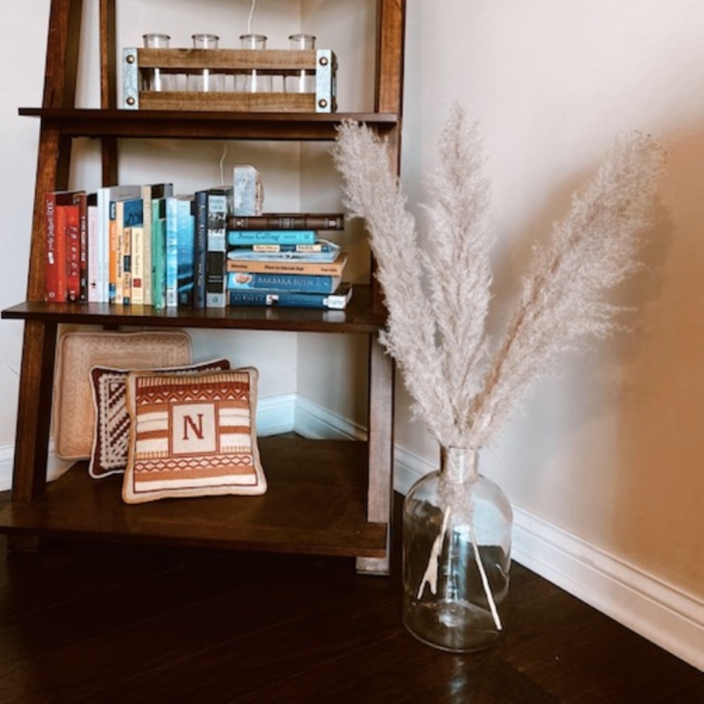 PAMPAS GRASS dried natural grasses 3 STEMS